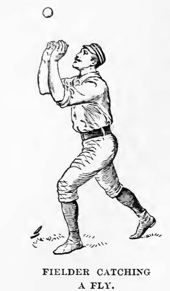 Fielder catching a fly.jpg