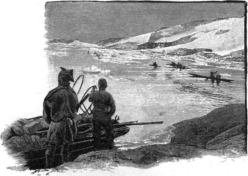 The farewell of the kayakers at Cape Bille.jpg