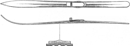 The skis used by the expedition, from above, seen from the side and on average