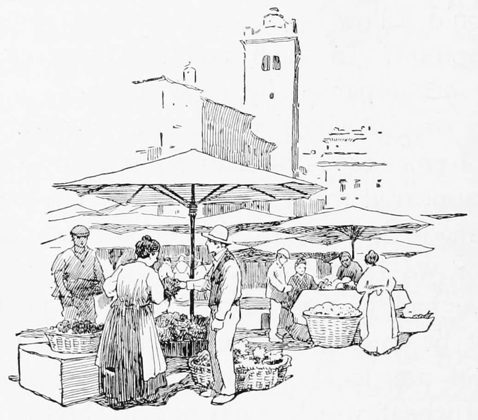 Open air food market.jpg
