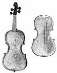 Constituent parts of the violin - Interior