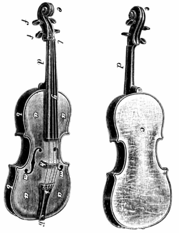 Constituent parts of the violin - Exterior.jpg