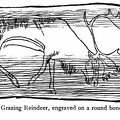 Grazing Reindeer, engraved on a round bone