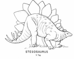Ornithischian dinosaurs - Stegosaurus
