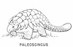 Ornithischian dinosaurs - Paleoscincus