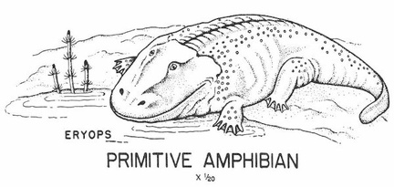 Primitive Amphibian