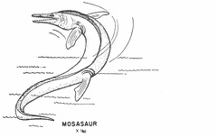 Swimming Reptiles - Mosasaur