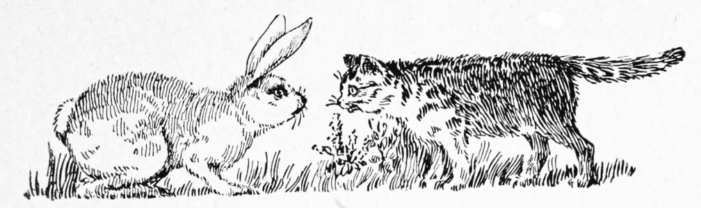 Kitten and Rabbit.jpg