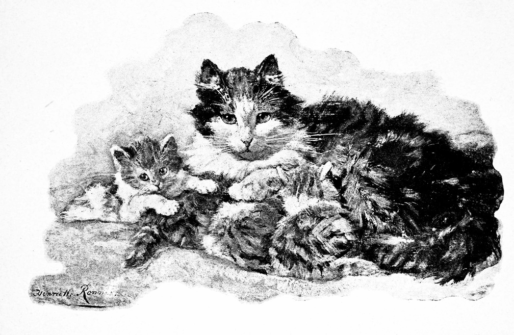 Mother cat with kitten.jpg