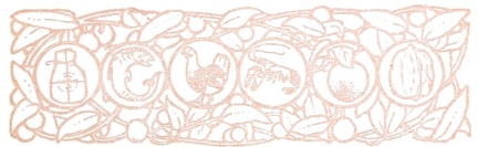 Foods divider