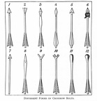 Different forms of crossbow bolts