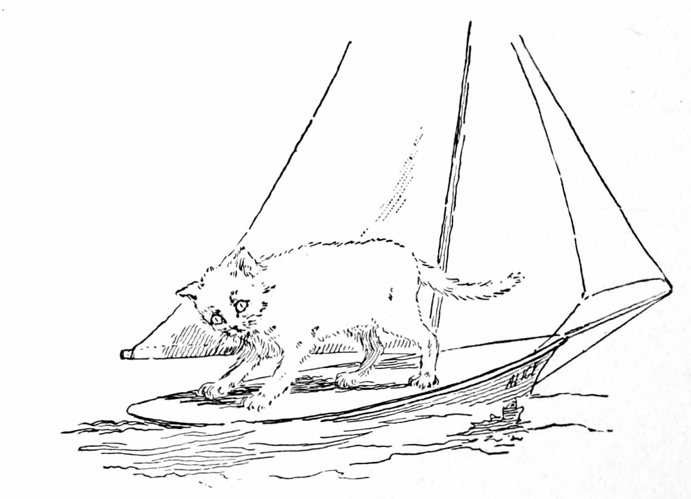 kitten on a toy boat
