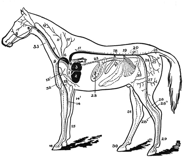 free-public-domain-historical-clipart