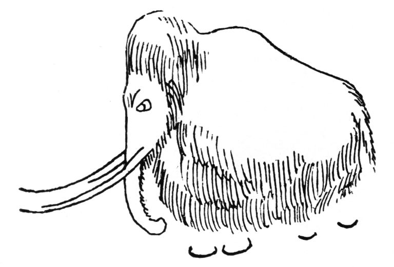 A Mammoth Drawn on the Wall of the Font-de-Gaume Cavern.jpg