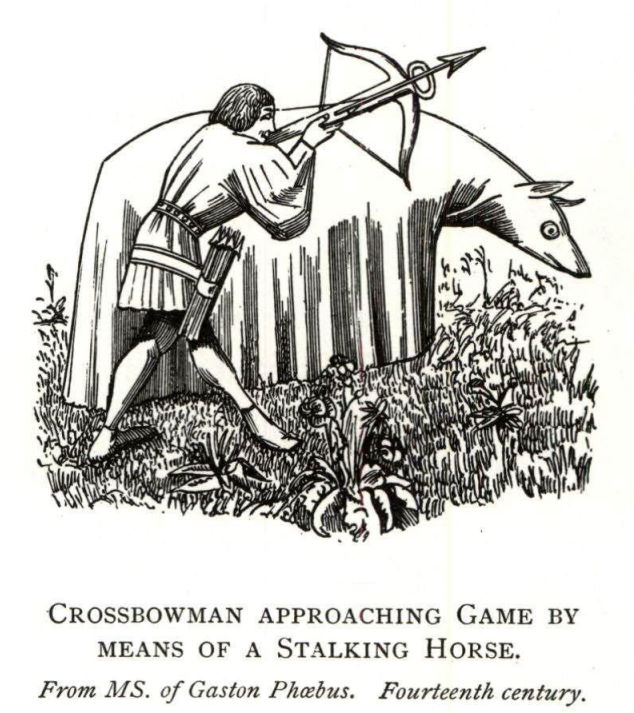 Crossbowman approaching game.jpg