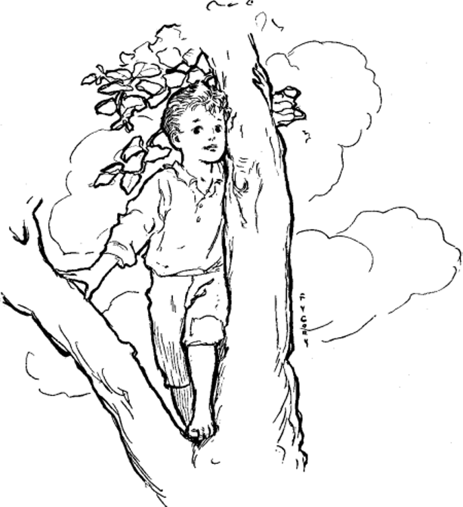 Boy climbing a tree  Free Public Domain Historical Clipart