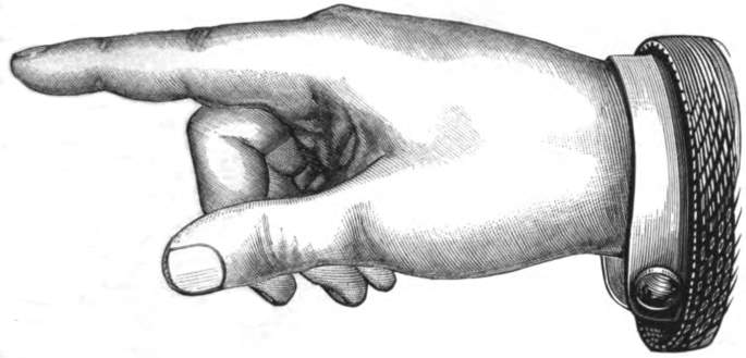 Right Hand Pointing - Fine detail.jpg