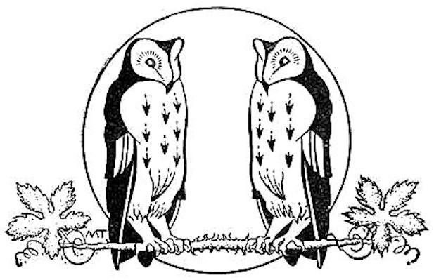 Two owls.jpg